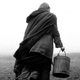 Illustration for article titled The Turin Horse